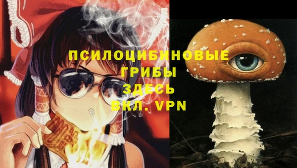 кокаин Алексин