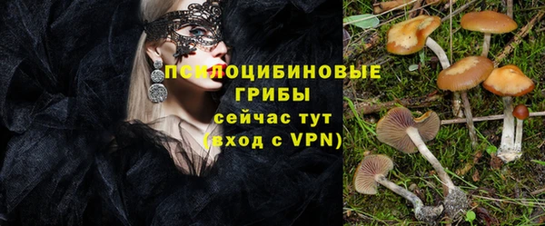 спайс Алзамай