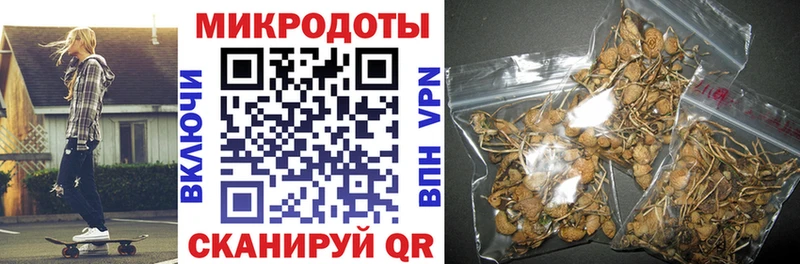 блэк спрут вход  Коркино  Псилоцибиновые грибы ЛСД 